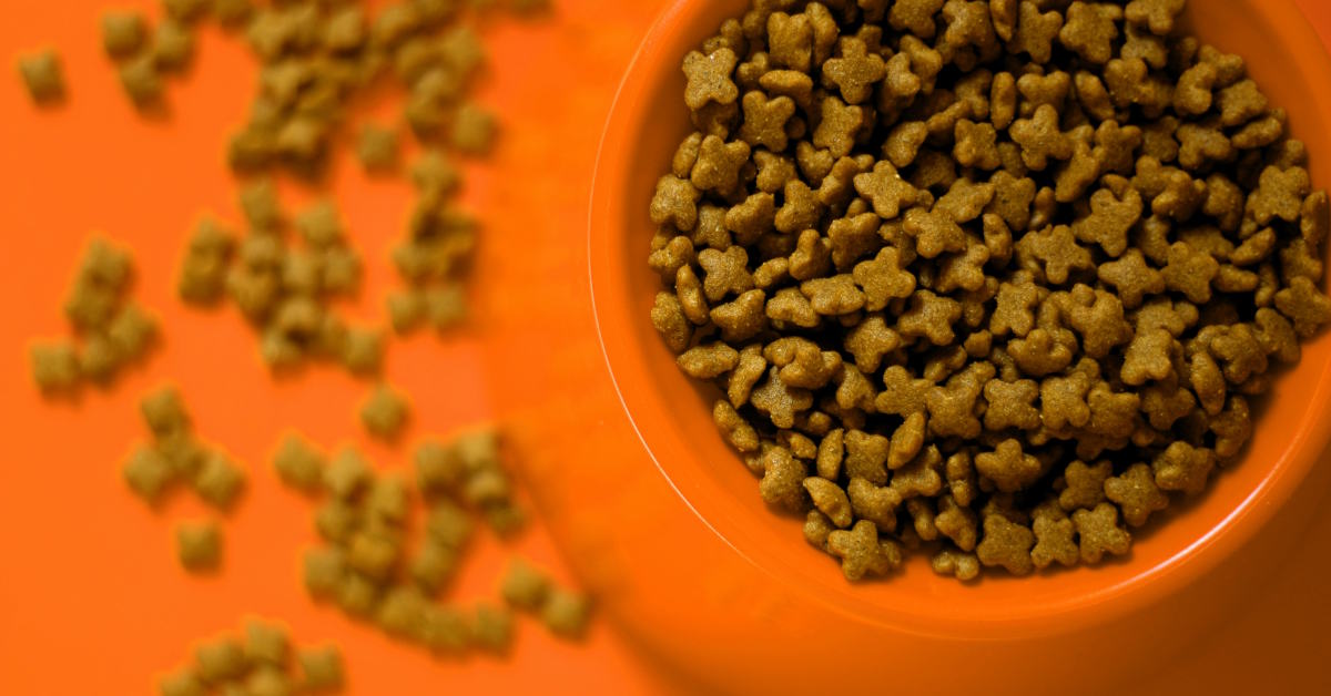 How To Soften Dry Cat Food | Mo & Bear PH