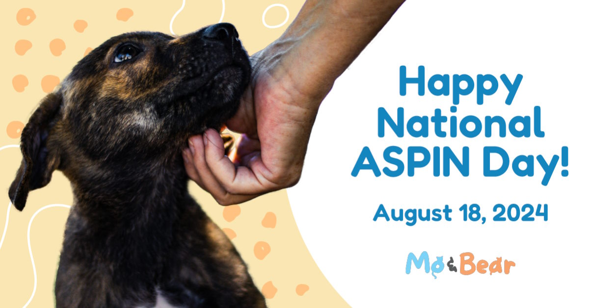 National Aspin Day | Mo and Bear PH